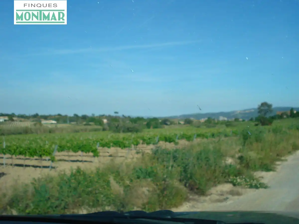 Finca rústica en venta en Castellví de la Marca