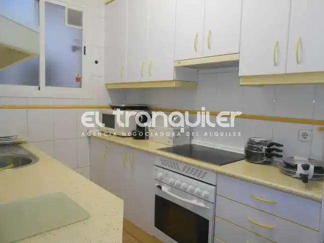 Kitchen of Flat for rent in Madrid  with Parquet flooring, Terrace and Furnished