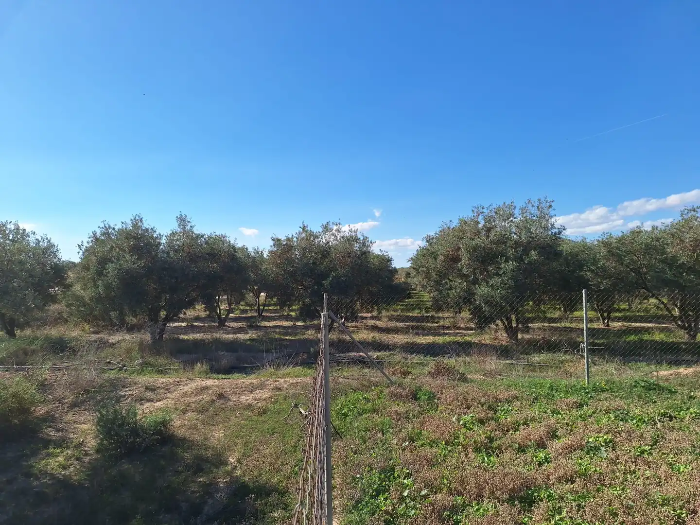 Finca rústica en venta en Alicante / Alacant con Trastero