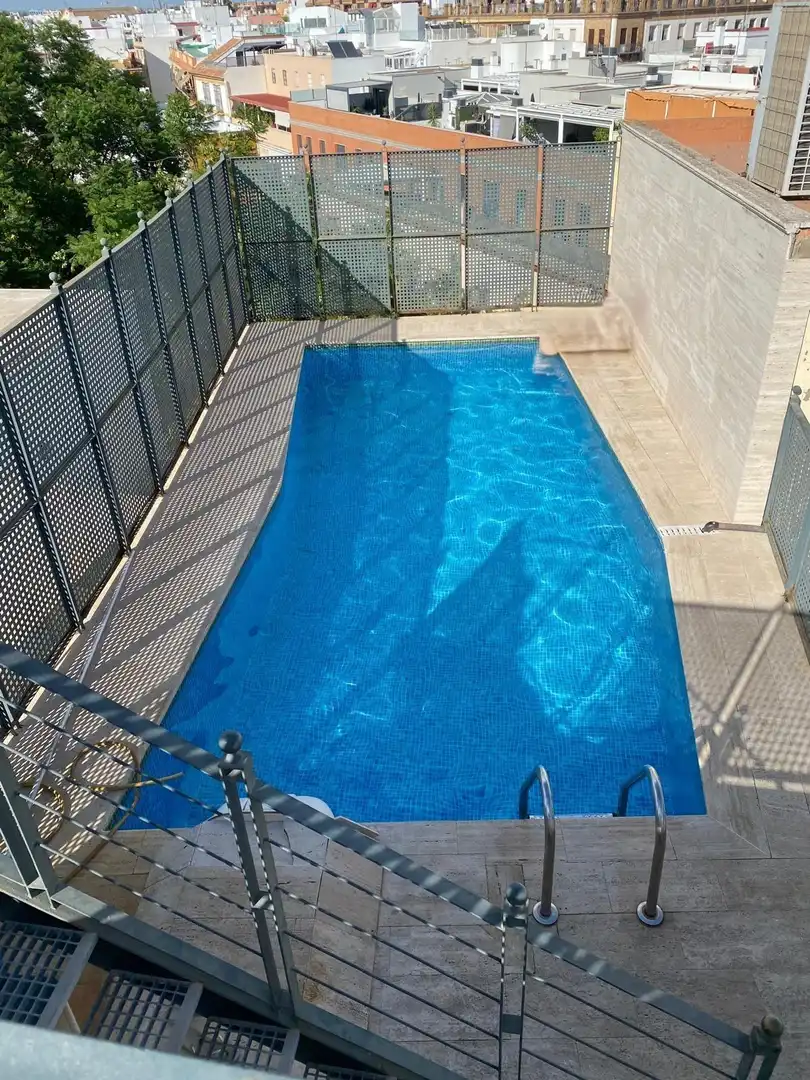 Piscina de Piso de alquiler en Sevilla con Aire acondicionado, Calefacción y Amueblado