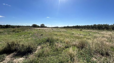 Foto 4 de Residencial en venta en L Trasversal, Griseras - Gardachales, Tudela