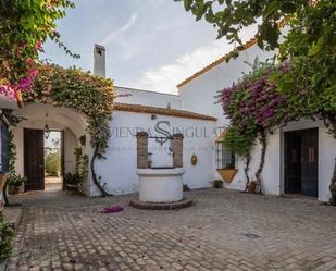 Vista exterior de Finca rústica en venda en Alcalá de Guadaira amb Aire condicionat, Jardí privat i Terrassa