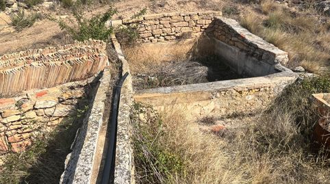 Finca con pozo productivo y maset en Valjunquera, immagine 5