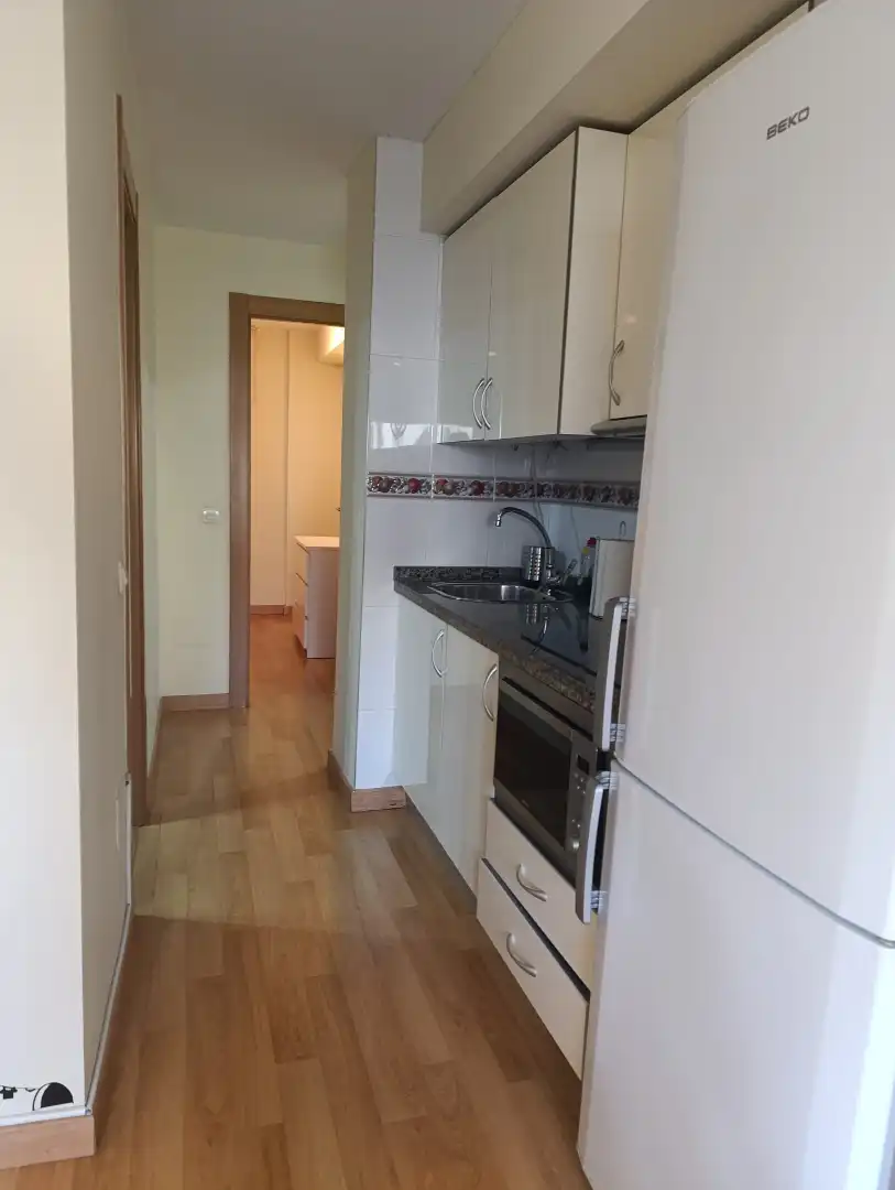 Cocina de Apartamento de alquiler en Málaga con Aire acondicionado y Amueblado