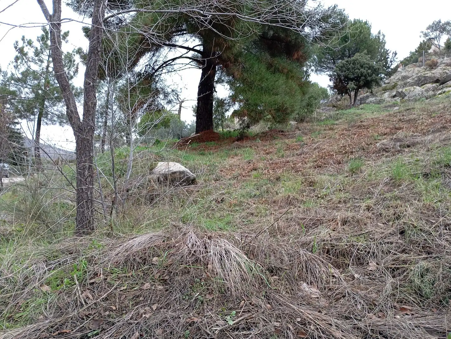 Terreni e lotti in vendita a Robledo de Chavela, imagen 15
