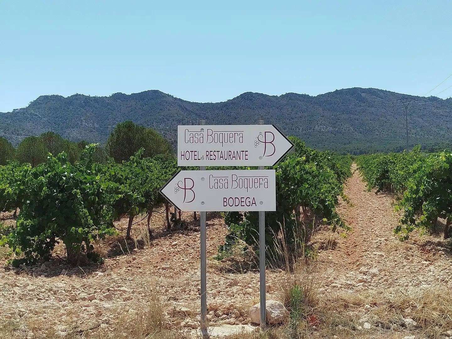 Finca rústica en venda en Yecla amb Aire condicionat i Terrassa
