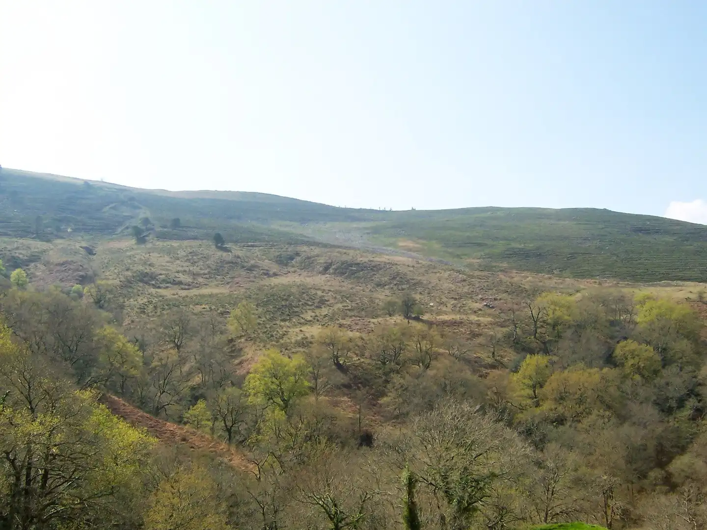 Casa o chalet en venta en Saro