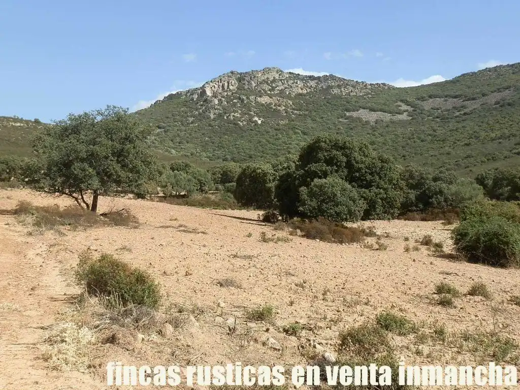 Terreni e lotti in vendita a Peñalsordo, imagen 11