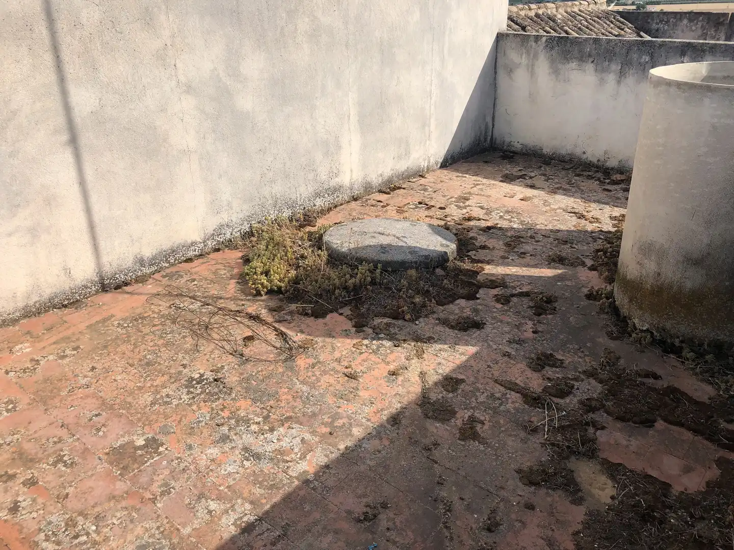 Casa o xalet en venda en El Carpio amb Terrassa