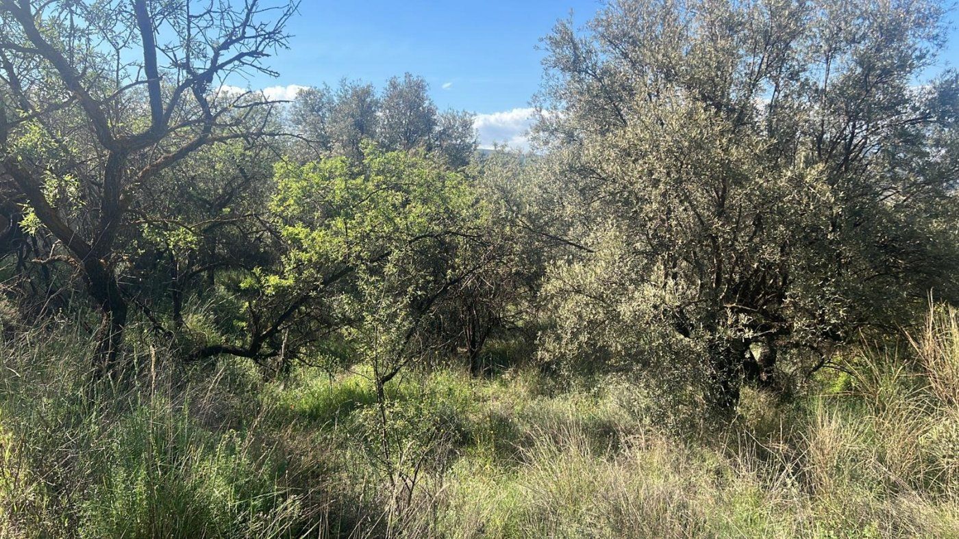 Country house for sale in El Valle