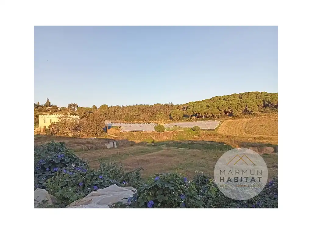Casa rústica en venta en Sant Cebrià de Vallalta, imagen 20