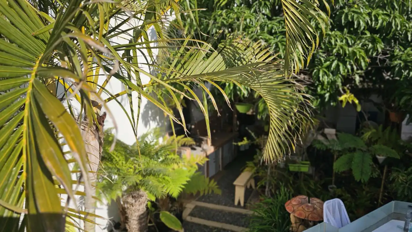 Jardí de Casa o xalet en venda en Santa Lucía de Tirajana amb Jardí privat, Terrassa i Piscina