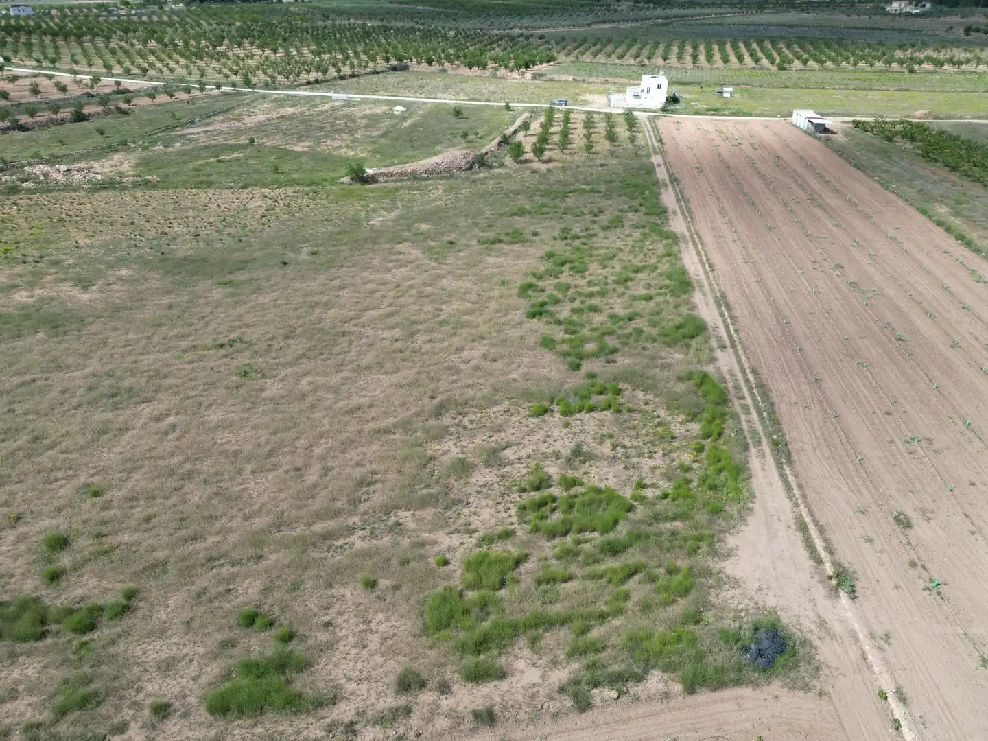 Wohnbaugrundstück zum Verkauf in El Pinós / Pinoso, imagen 3