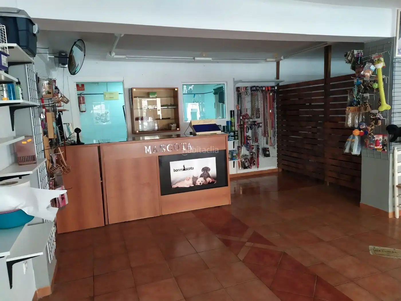 Local comercial en venda a Avenida Vicente Ferri 45, imagen 9
