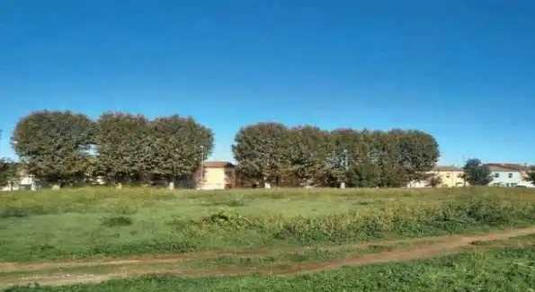 Wohnbaugrundstück zum Verkauf in Avinguda del President Companys, imagen 2