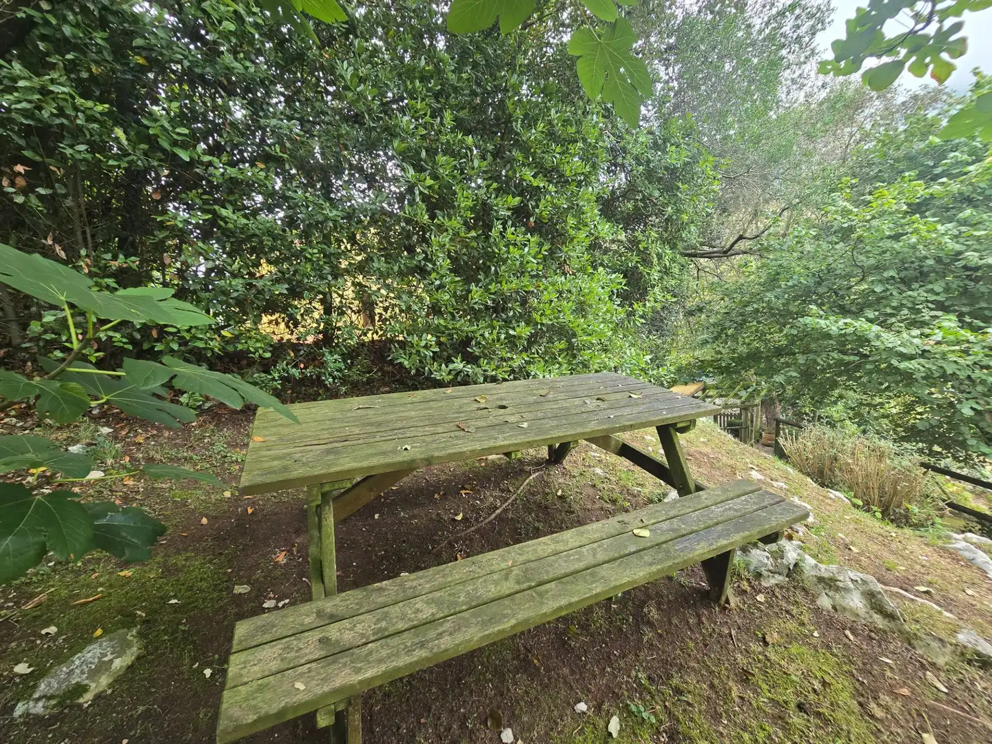 Maison avec jardin à vendre à Posada - Barro, imagen 22