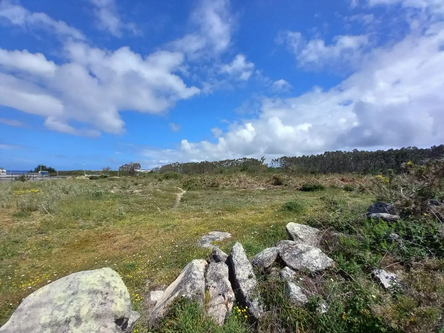 Land for sale in Ribeira