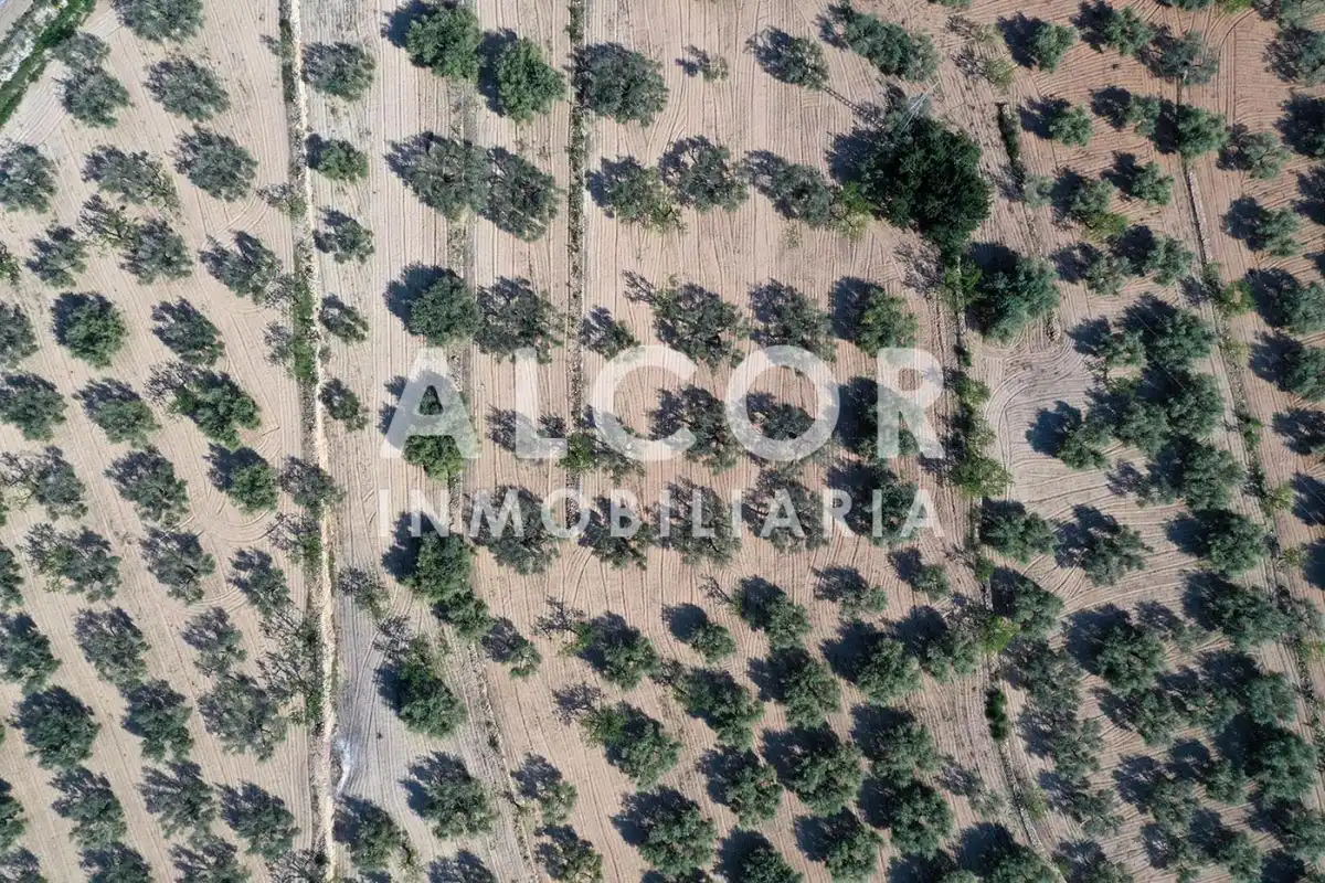 Maison rustique à vendre à Càlig, imagen 4