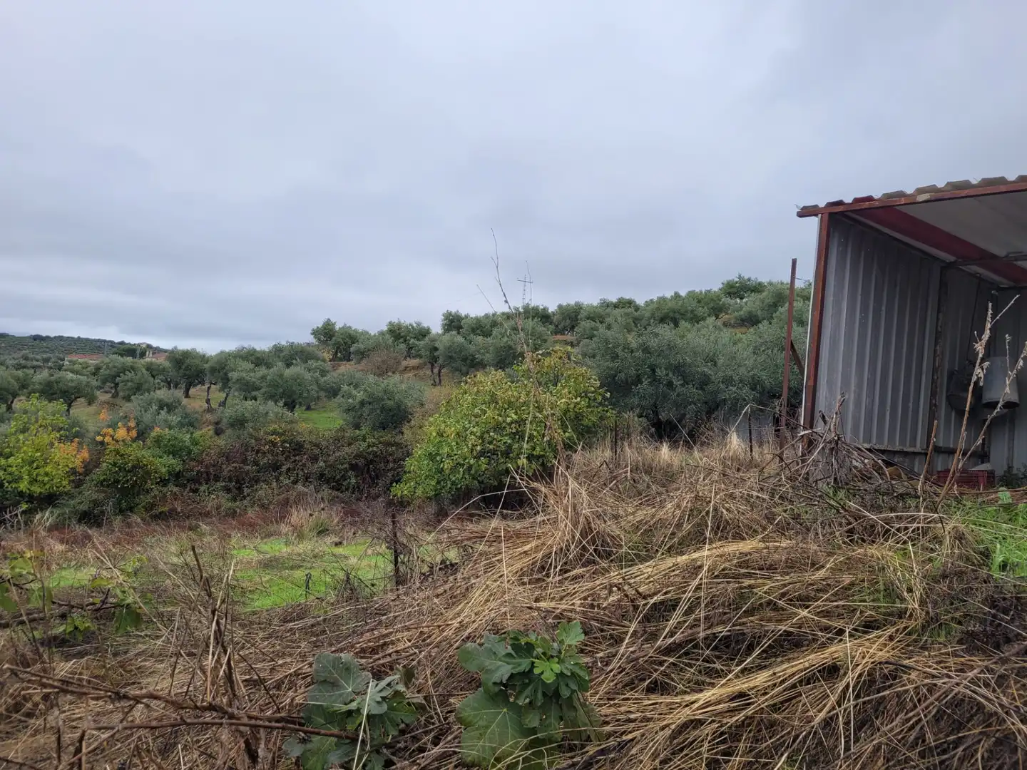 Terreni e lotti in vendita a Carretera Malpartida 5M, imagen 11