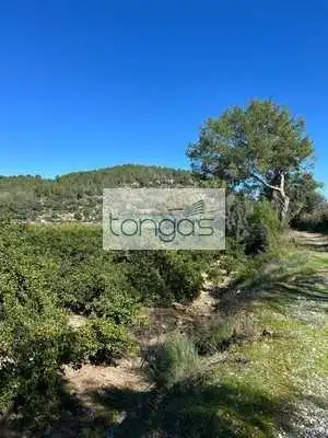 Terreny rústic en venda a Llanera de Ranes, imagen 4