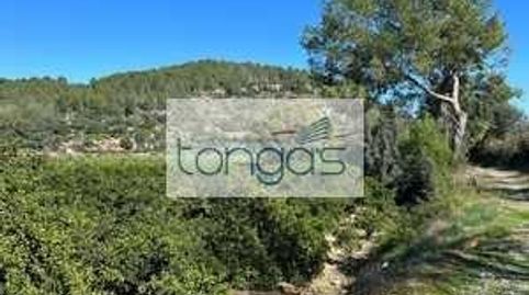 PARCELA NARANJOS, imagen 4