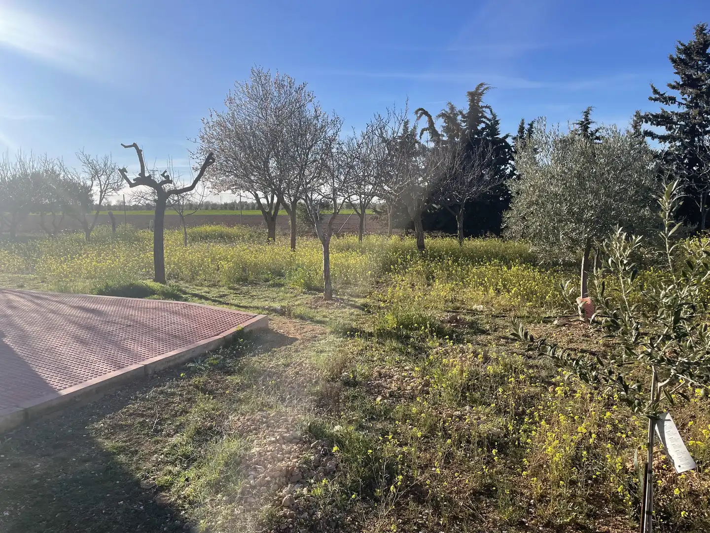Chalet con jardín en venta en CM-3109 1, imagen 17