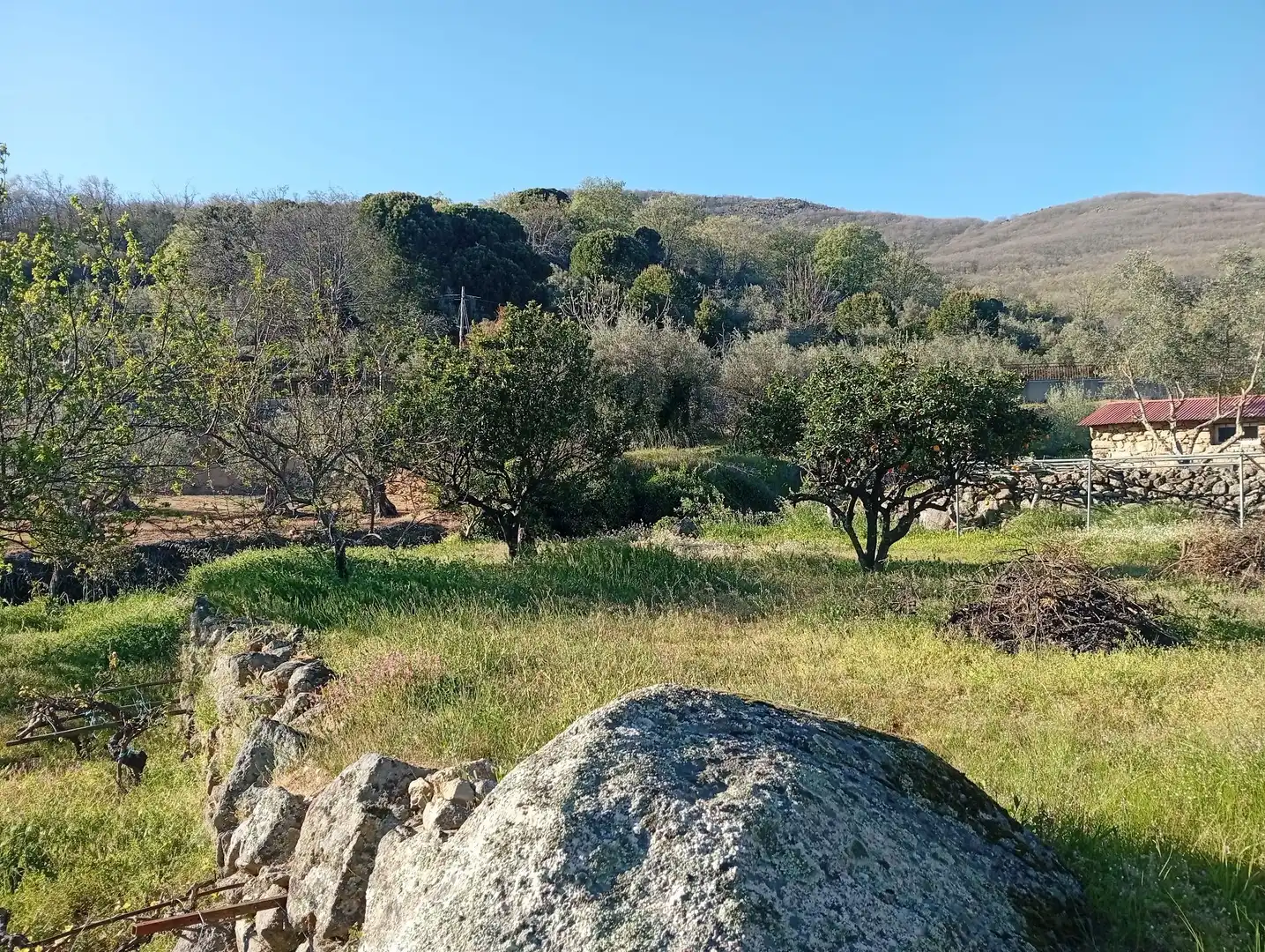 Terreno en venta en Valverde de la Vera