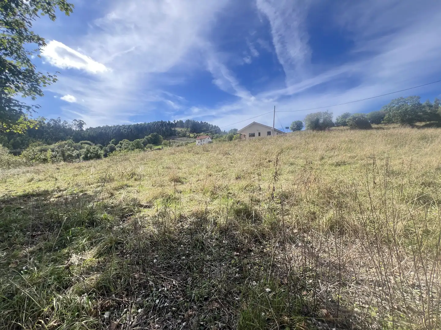 Lands and plots for sale in Pillarno, imagen 11