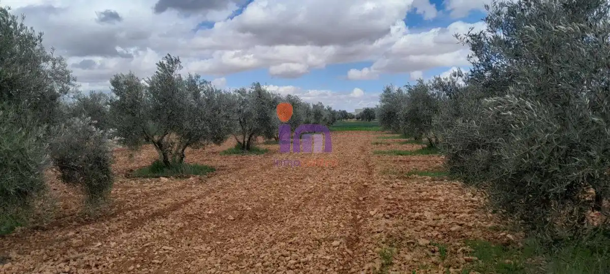 Finca rústica en venda en Valdepeñas
