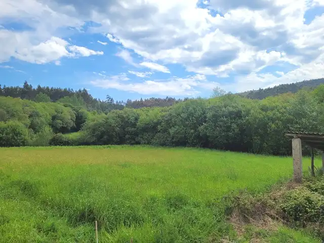 Adossat amb jardí en venda a Cerdido, imagen 32