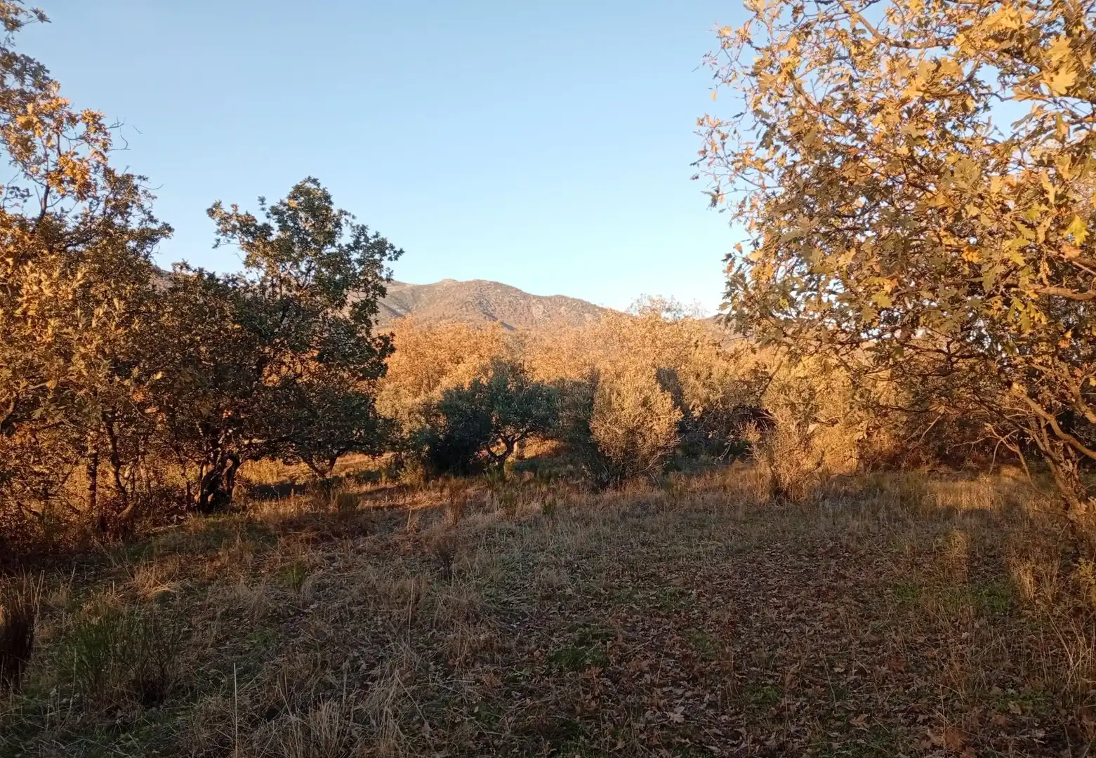 Terreni e lotti in vendita a Viandar de la Vera, imagen 5