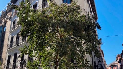 Photo 3 of Flat for sale in Calle de Trujillos, 9, Sol, Madrid