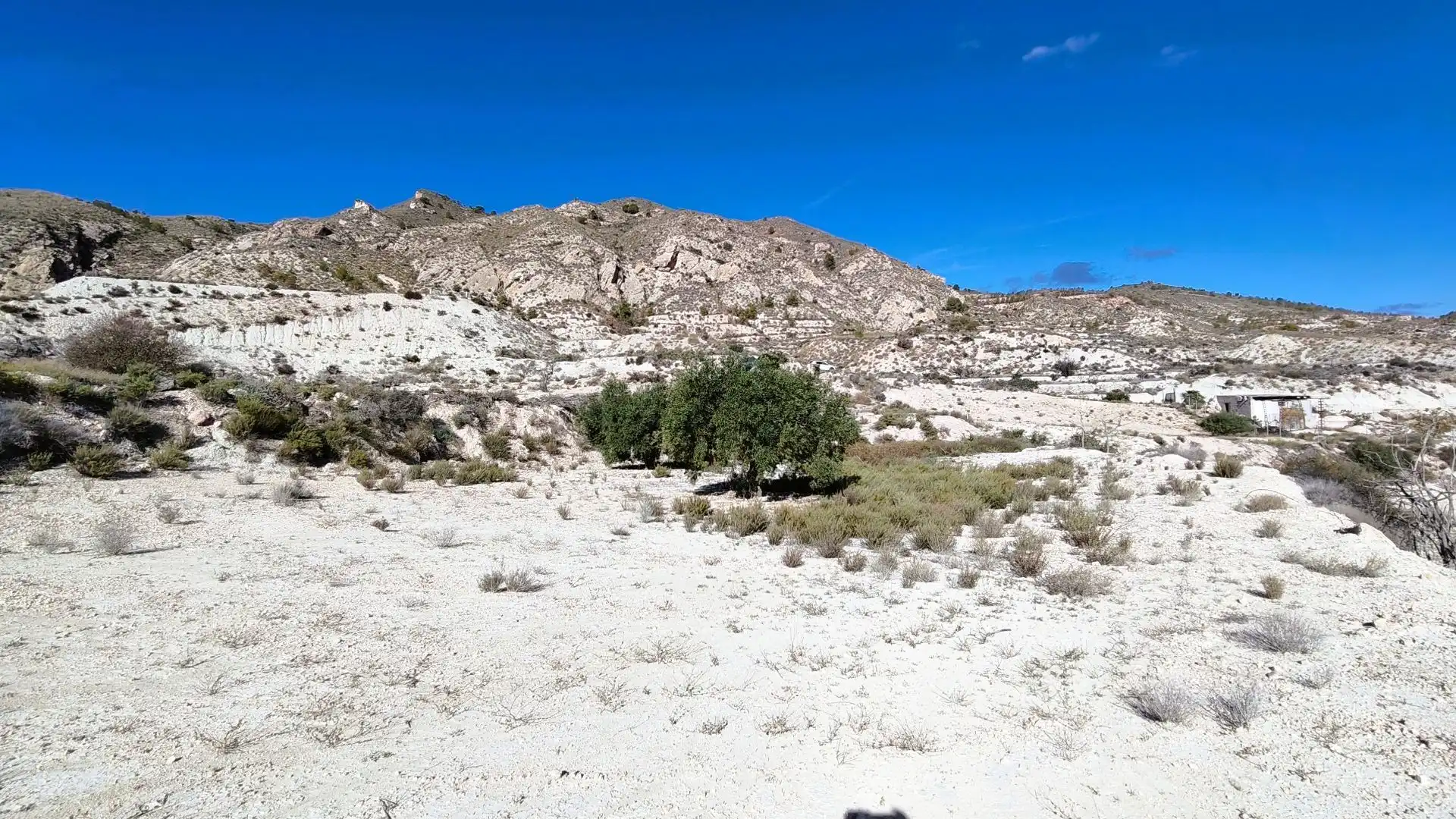 Rural land for sale in Fortuna, imagen 13