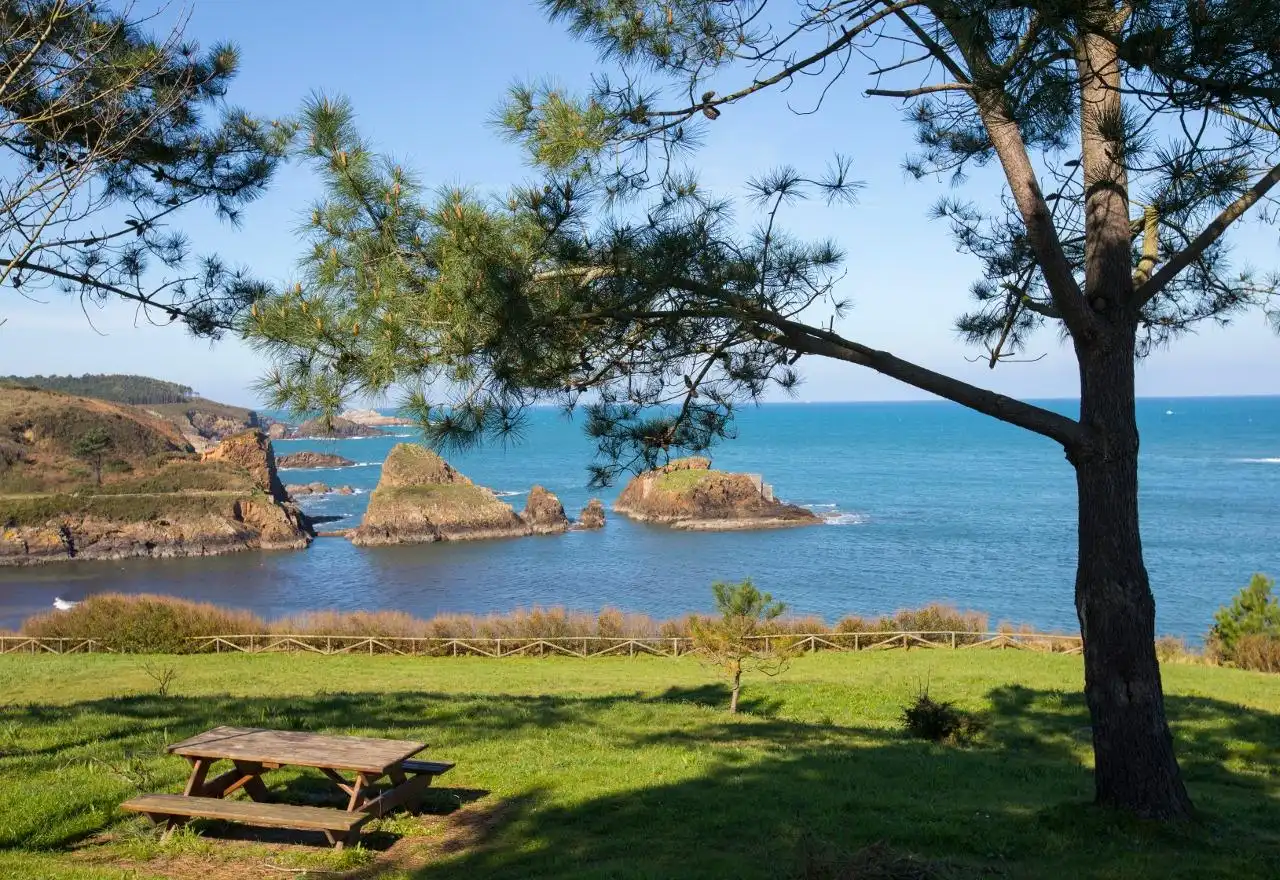 Jardín de Casa o chalet en venta en El Franco  con Calefacción, Jardín privado y Terraza