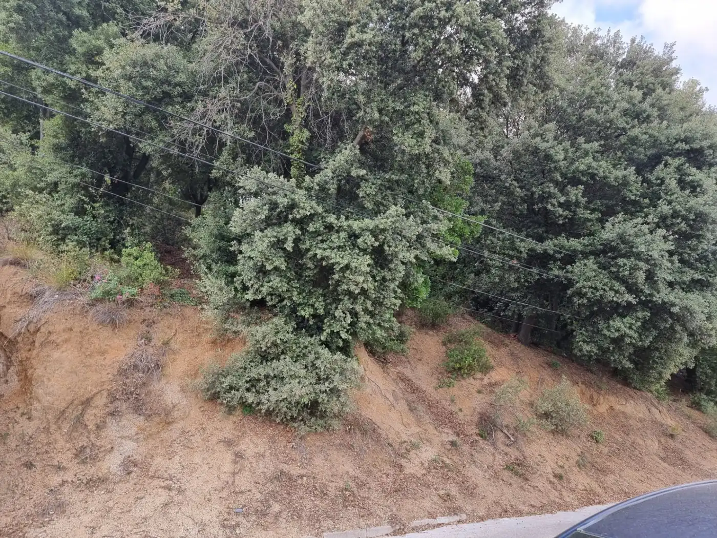 Lands and plots for sale in Calle MARGALLO, imagen 4