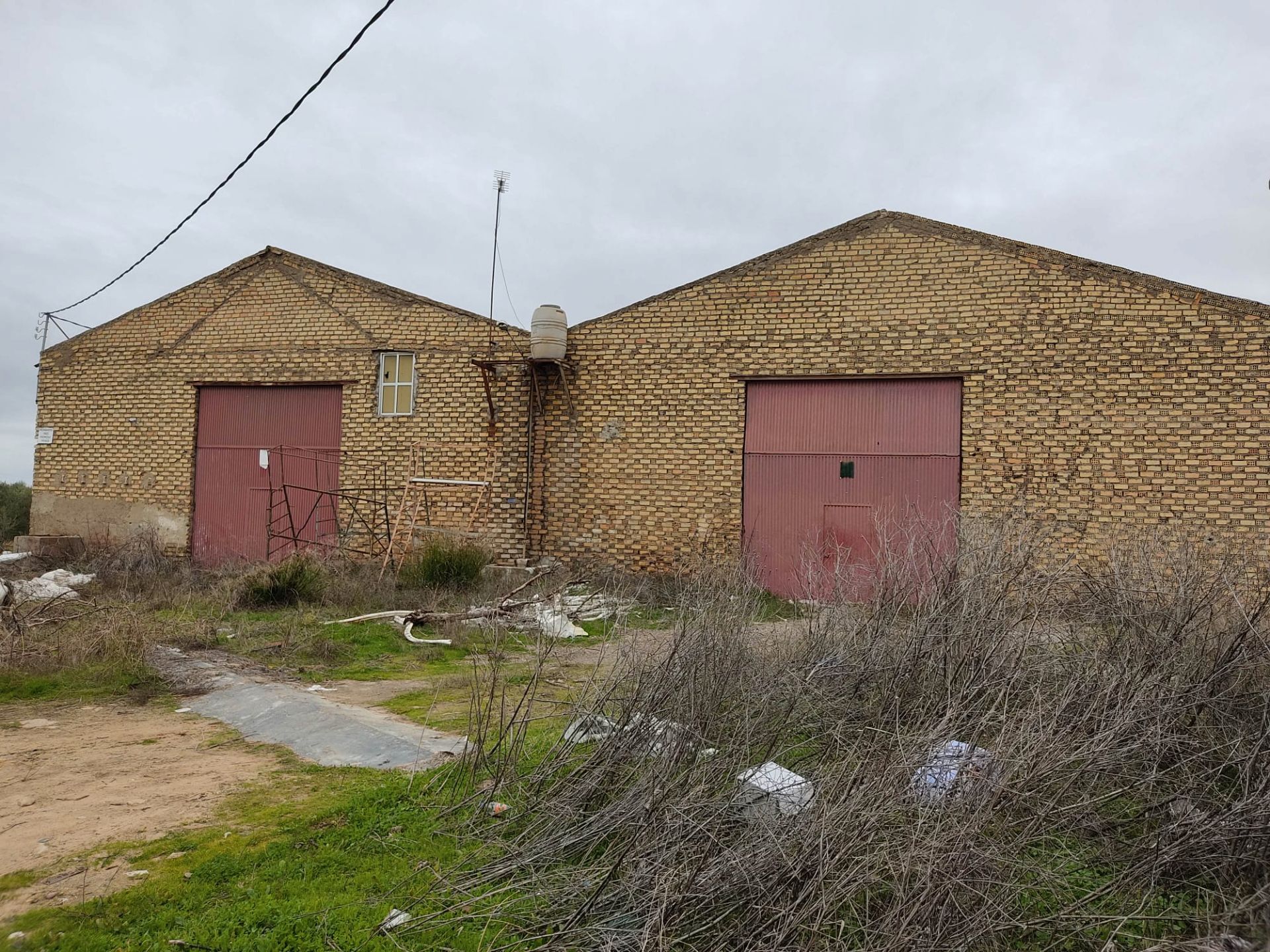 Exterior view of Industrial buildings for sale in Utrera