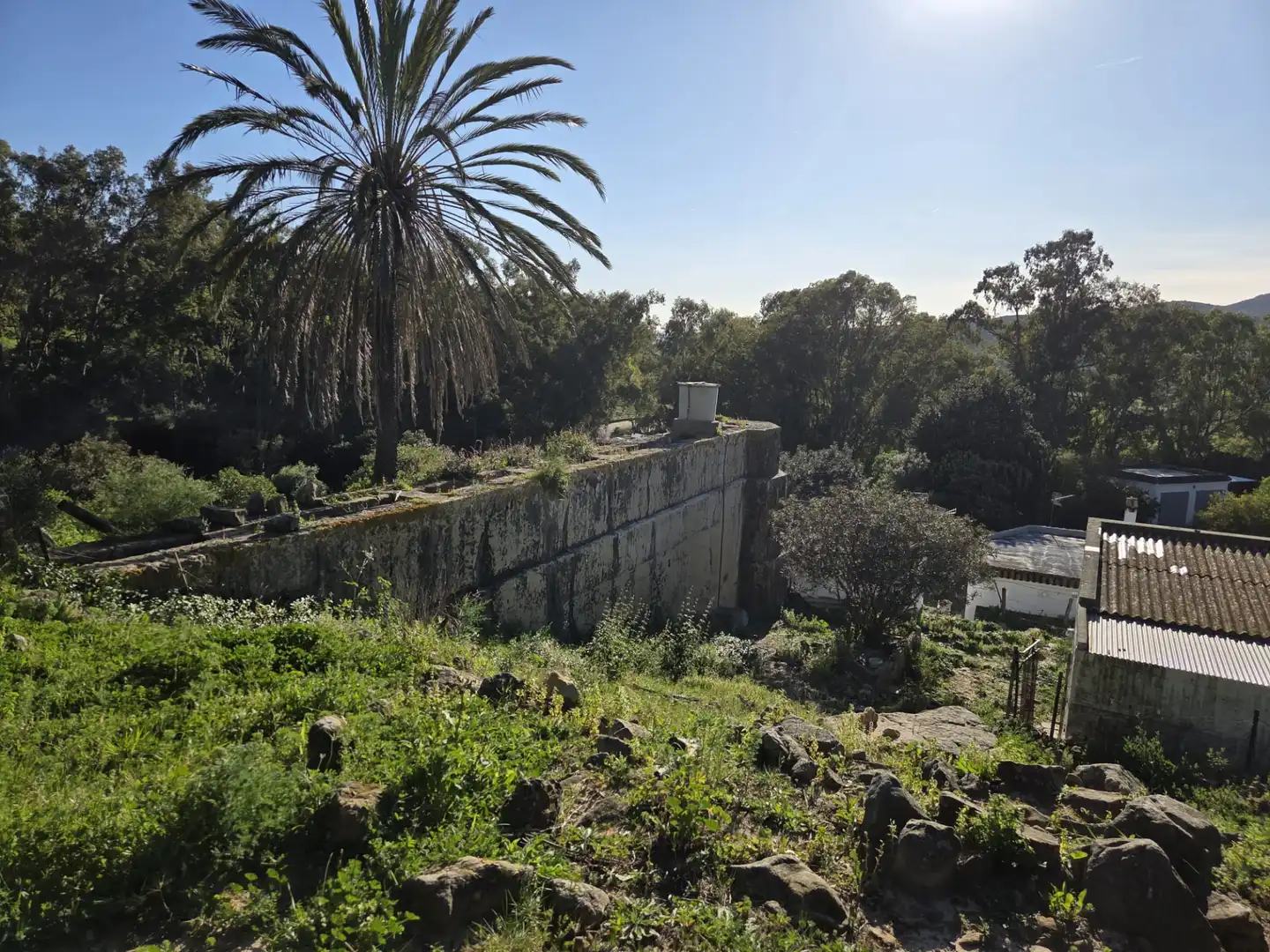 Garden of Country homes for sale in Tarifa ciudad