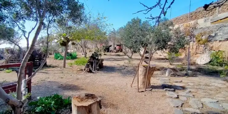 Terreno rustico in vendita a Arico, imagen 21