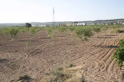 Terreny rústic en venda a Pl 3, Parcela, imagen 6