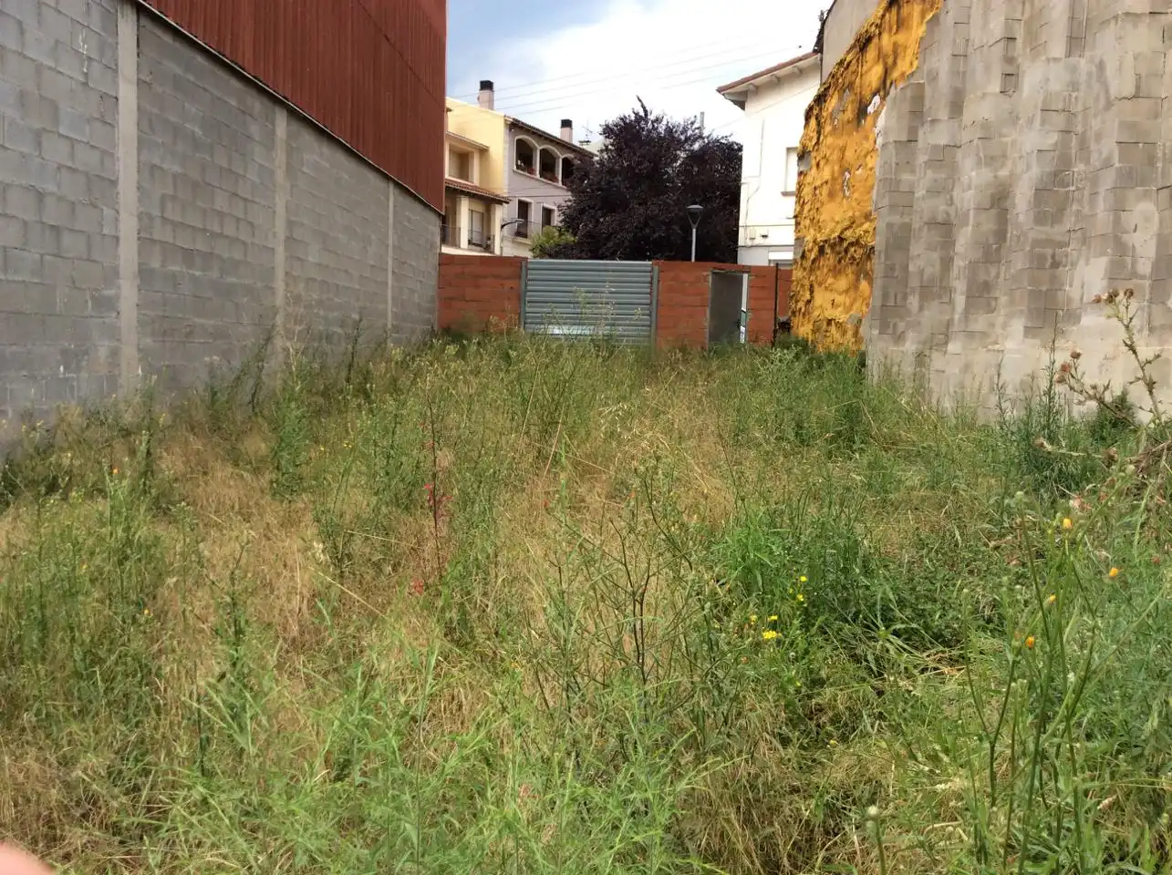 Terreni e lotti in vendita a Balenyà, imagen 2