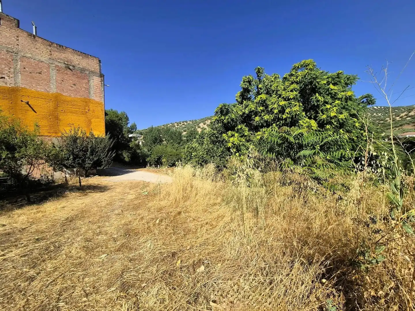 Terreno residencial en venta en Algarinejo, imagen 9