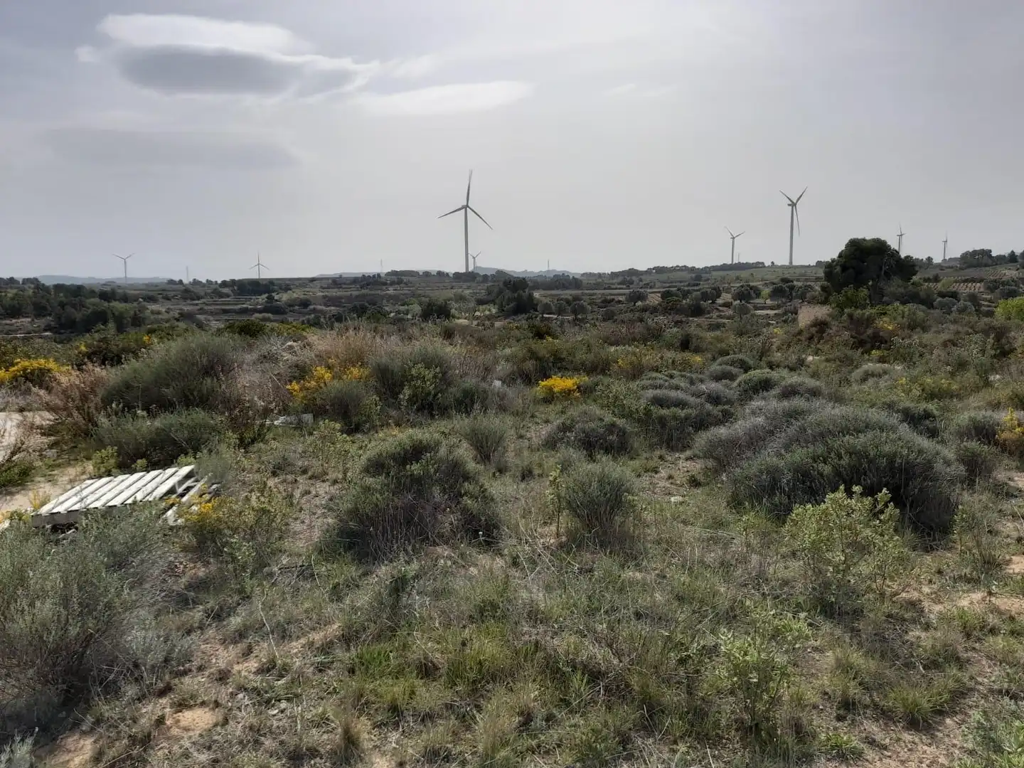 Casa o chalet en venta en Batea con Trastero y Amueblado