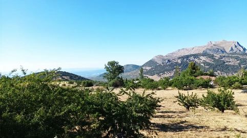 Foto 3 de Finca rústica en venda a Camino Navaparis, Torres, Jaén