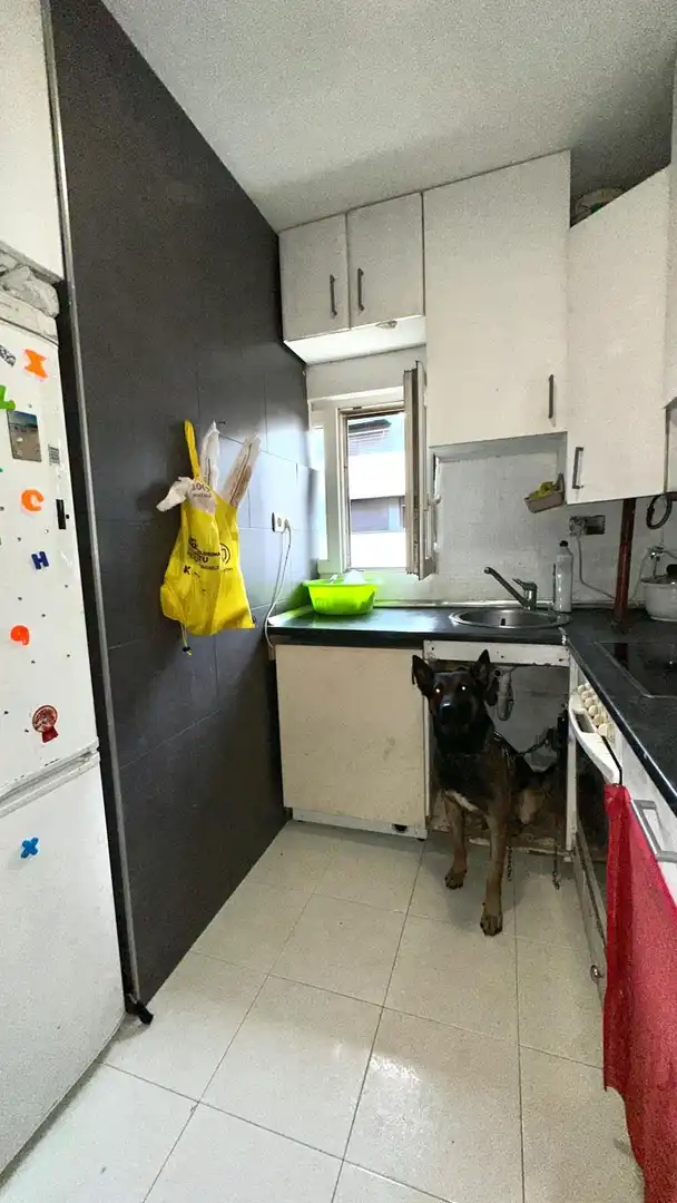 Cocina de Piso en venta en Santurtzi 