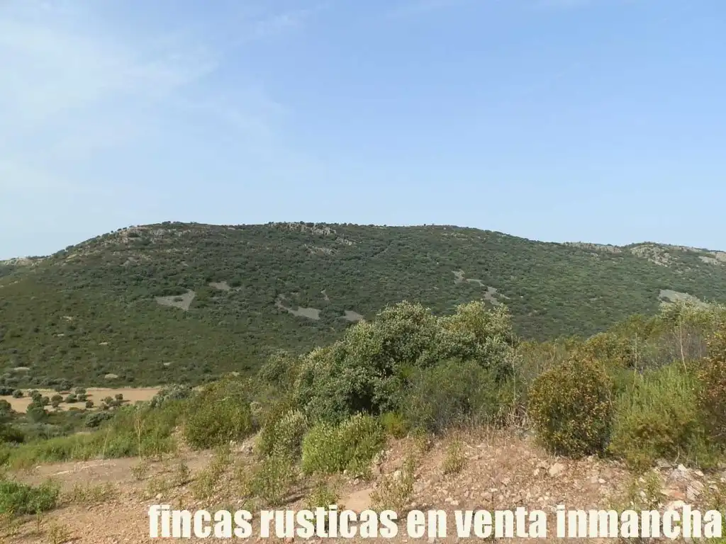 Terreny rústic en venda a Alcolea de Calatrava, imagen 12