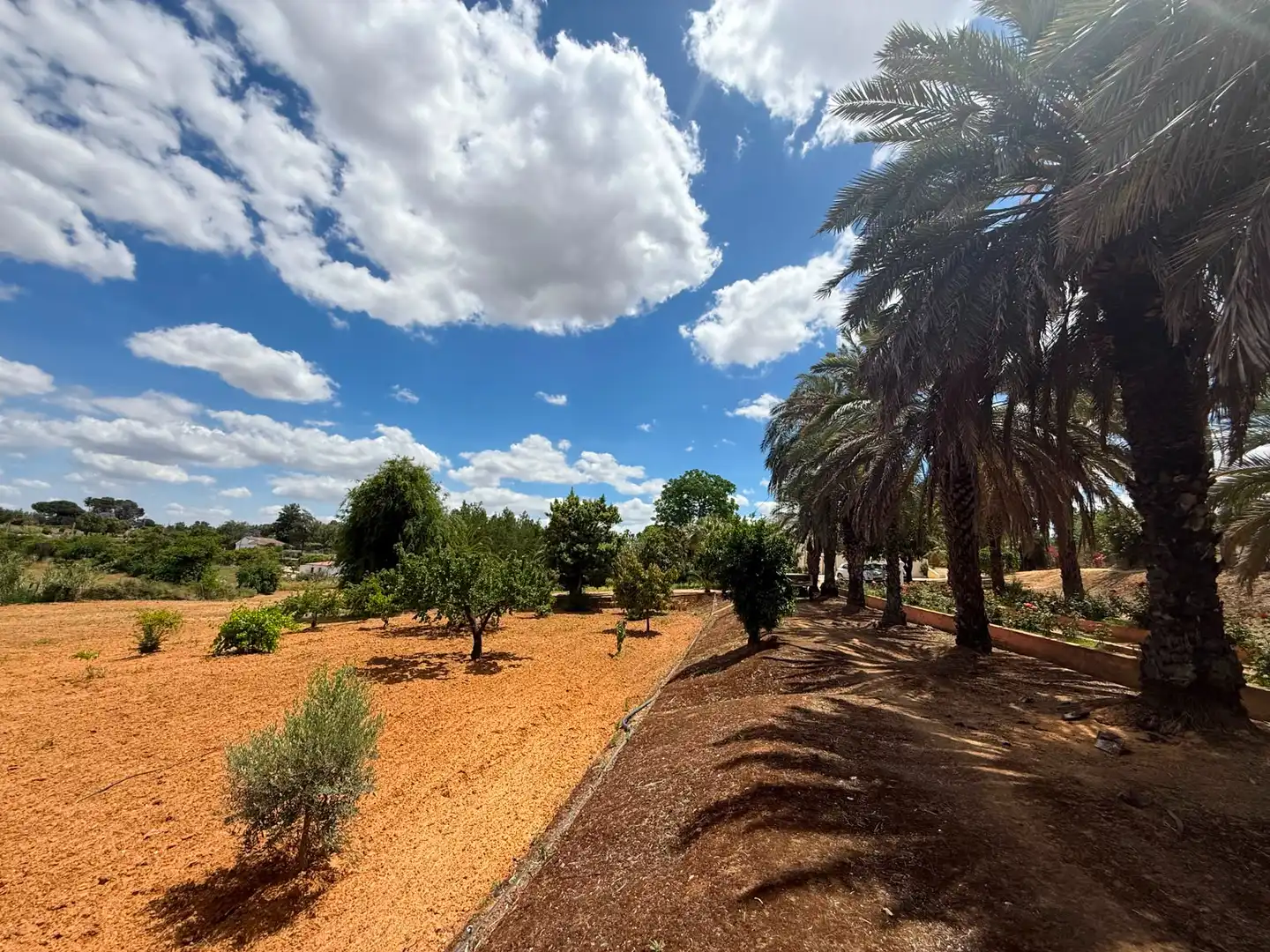 Chalet con piscina en venta en Carretera Olivares, imagen 55