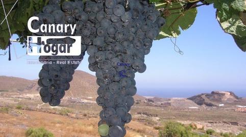 Photo 2 of Country house for sale in Aldea Blanca - Las Zocas, Santa Cruz de Tenerife