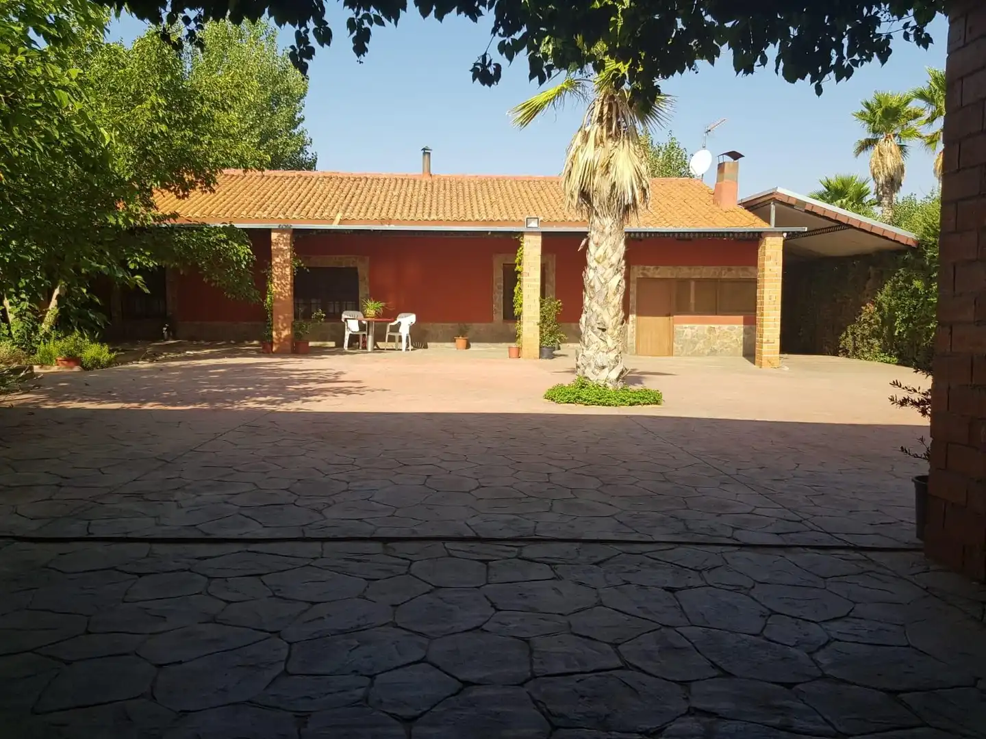 Vista exterior de Finca rústica en venta en Santa Cruz de Mudela