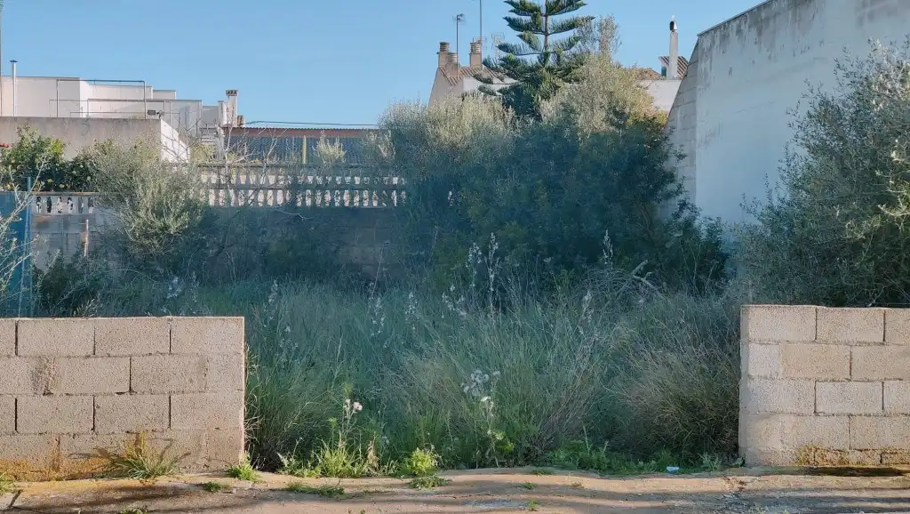 Land for sale in Llucmajor