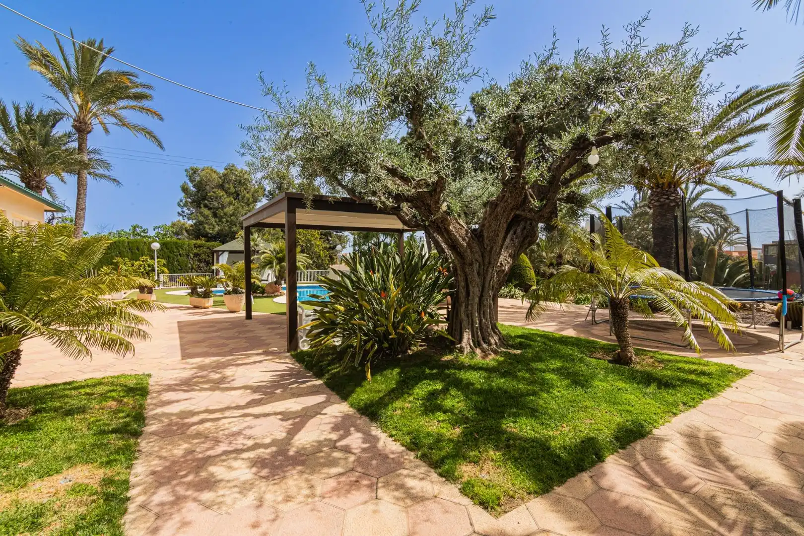 Jardín de Casa o chalet en venta en Elche / Elx con Jardín privado, Terraza y Piscina